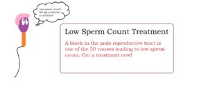 Low sperm count treatment | male infertility treatment