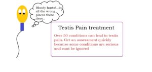 Testis pain management | male infertility treatment