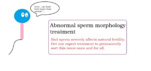 abnormal sperm morphology treatment | male infertility treatment