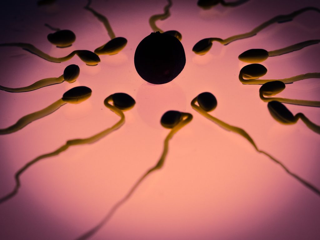 how do you know if you have a low sperm count?