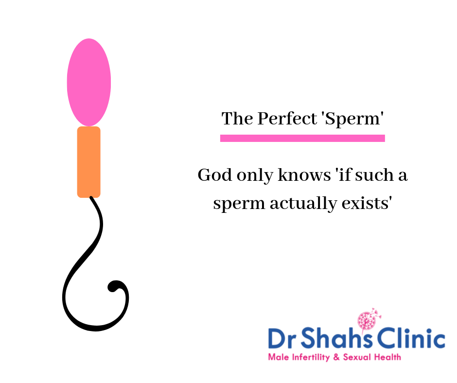 sperm morphology | semen analysis | semen analysis test in chennai
