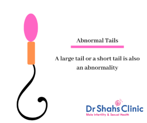 abnormal sperm tail