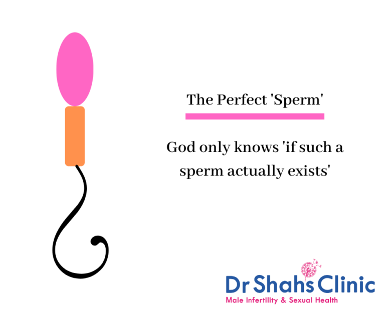 Abnormal Sperm Morphology Explained Its Meaning And Implications