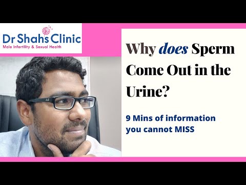 Why does sperm come out in the urine | Andrologist in Chennai for Male ...