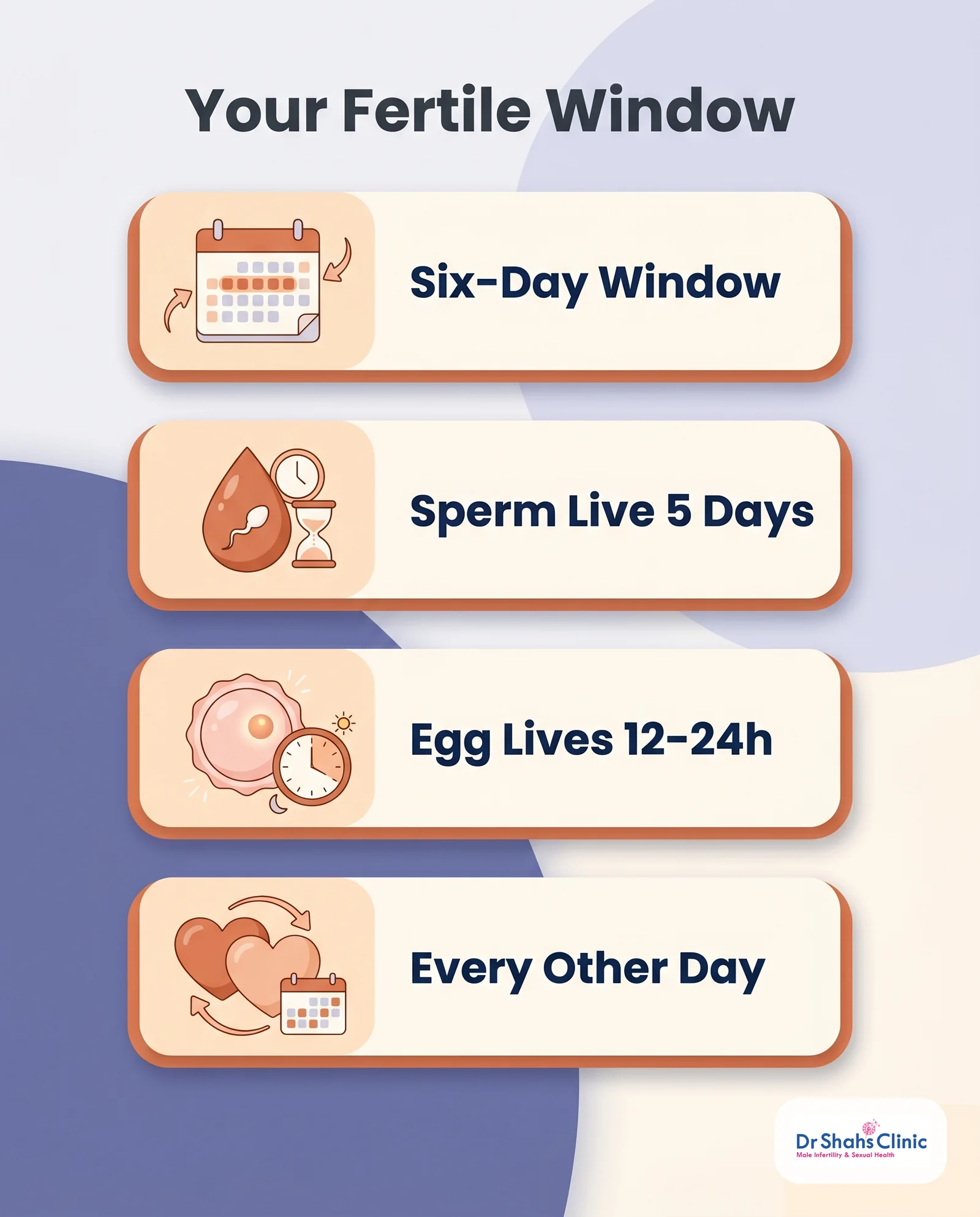 Your fertile window: six-day window, sperm live five days, egg lives 12 to 24 hours, have sex every other day
