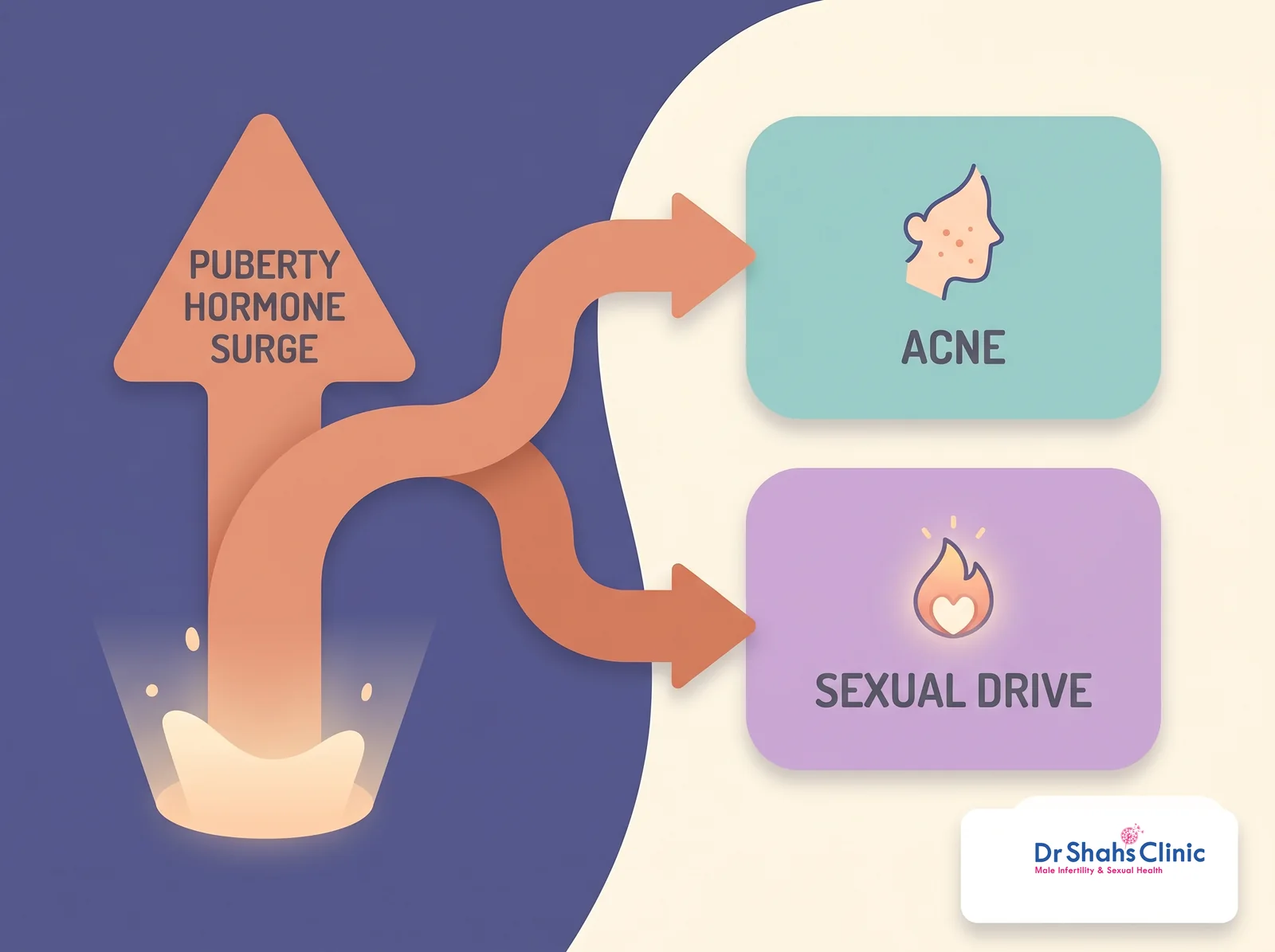 The puberty hormone surge causes both acne and sexual drive in parallel, not one causing the other