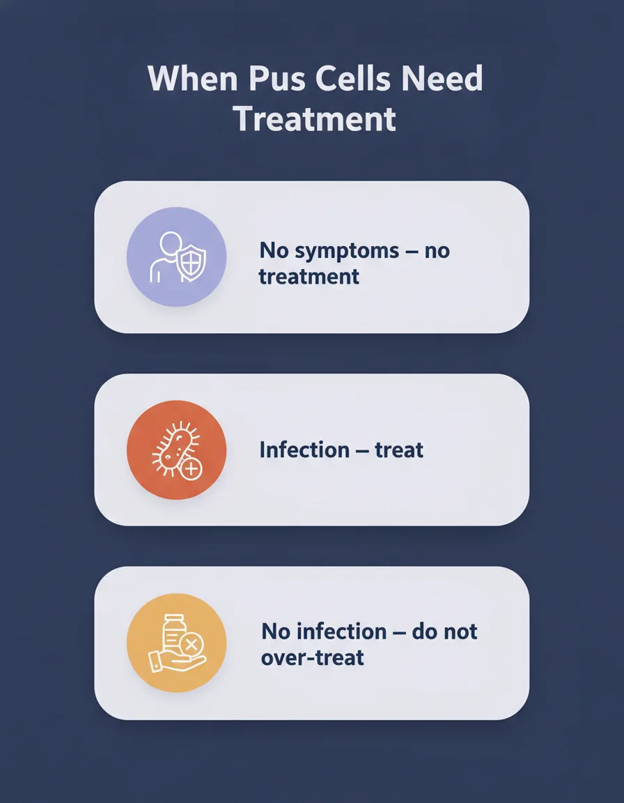 When pus cells in semen need treatment Infographic of the three-way approach to pus cells in semen: incidental round cells need no treatment, symptomatic or culture-positive infection needs targeted treatment, and asymptomatic leukocytospermia should not be over-treated