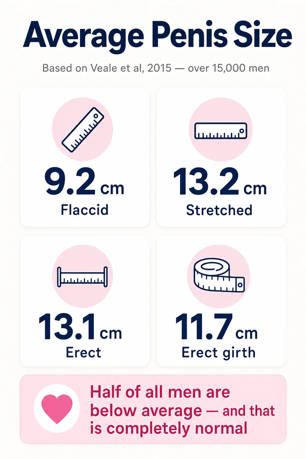 Infographic: average penis size — most men are normal, flaccid size varies, stretched predicts erect, below average is normal