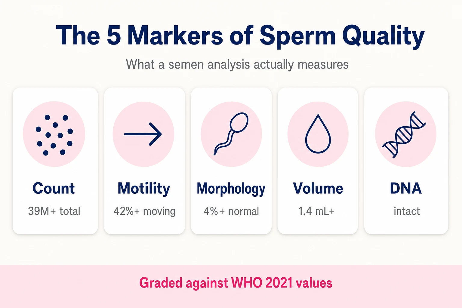 Infographic: the five markers of sperm quality — count, motility, morphology, volume and DNA integrity — graded against WHO 2021 values
