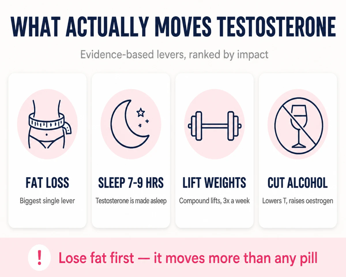 Infographic: fat loss, 7 to 9 hours of sleep, lifting weights and cutting alcohol are the evidence-based levers that move testosterone