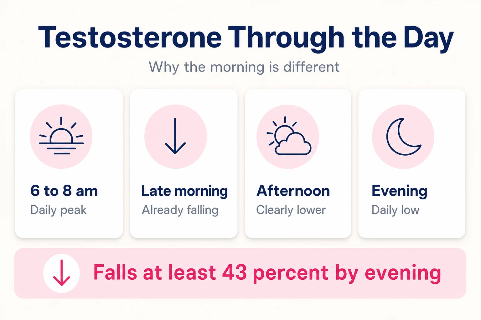 Infographic of testosterone through the day: daily peak at 6 to 8 am, already falling by late morning, clearly lower in the afternoon and at its daily low in the evening