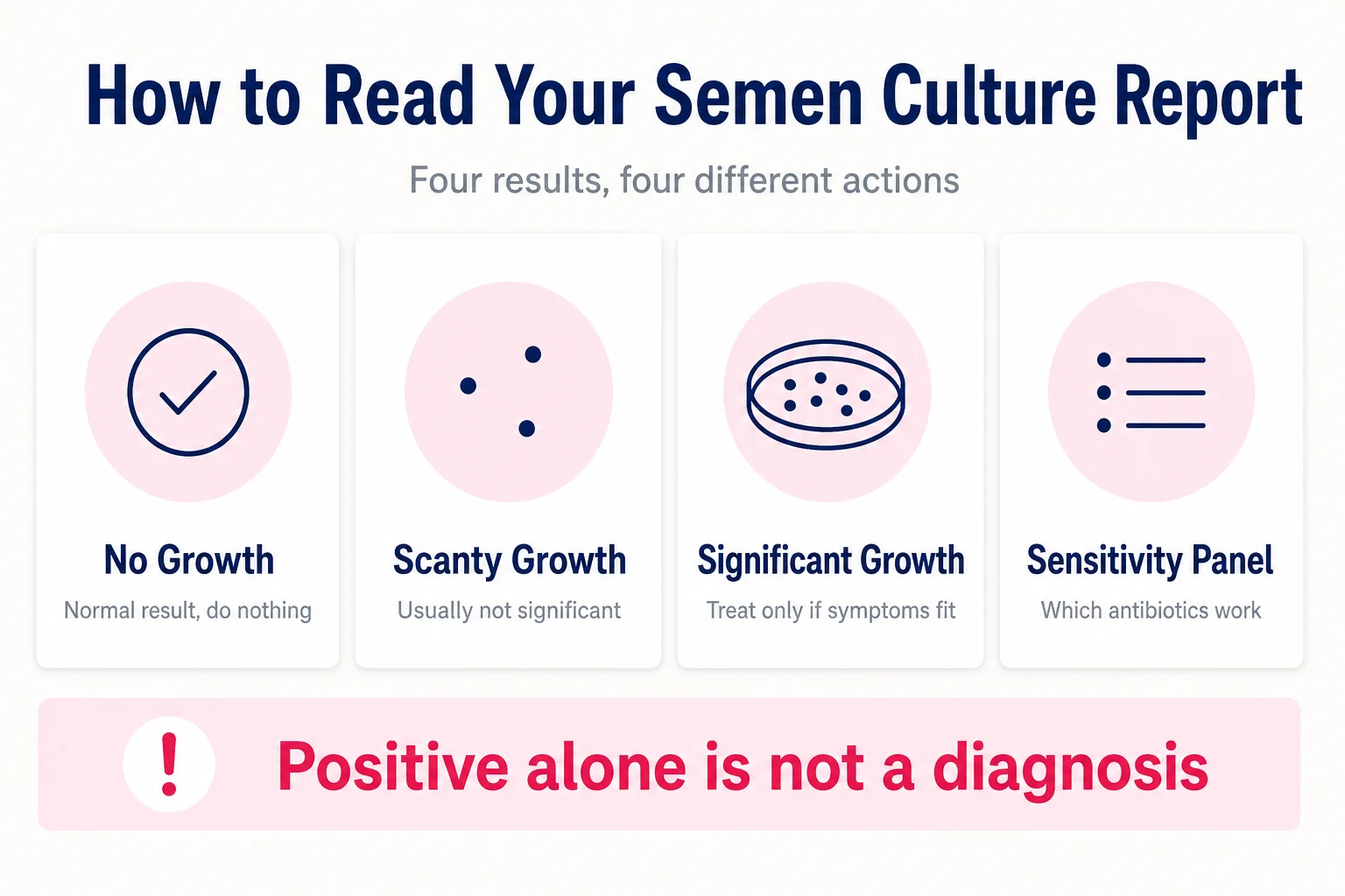 Infographic explaining the four semen culture report results: no growth, scanty growth, significant growth and the antibiotic sensitivity panel