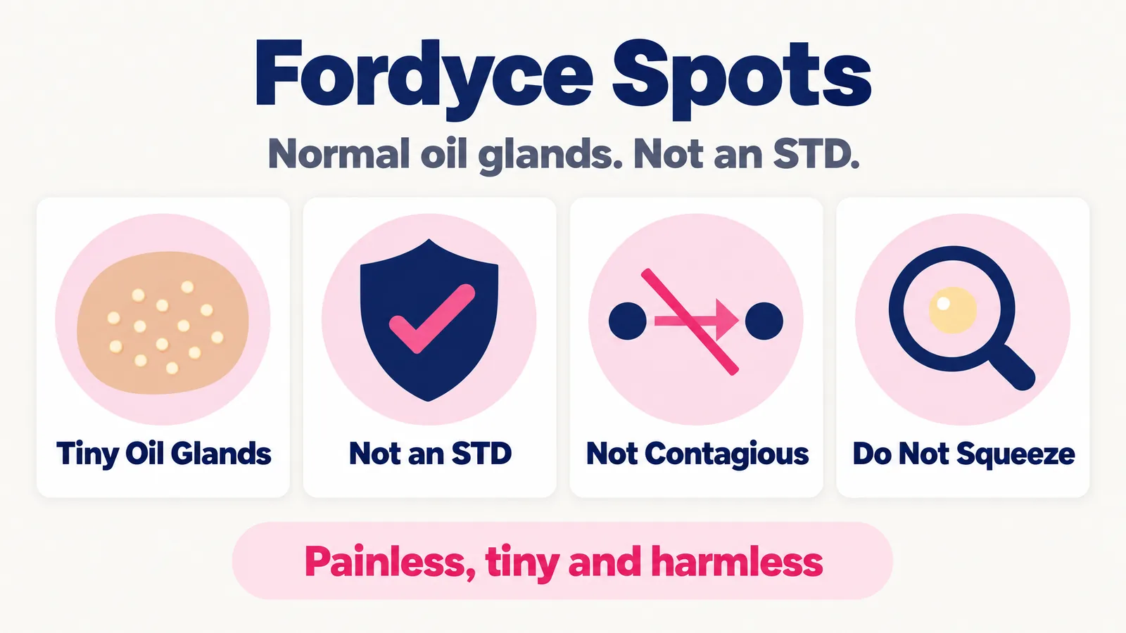Fordyce spots infographic: tiny oil glands, not an STD, not contagious; look, do not squeeze. Painless, tiny and harmless.